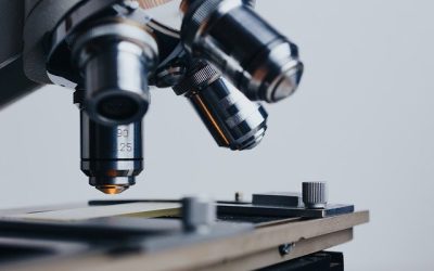 analysis-2030261_640